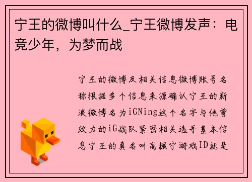 宁王的微博叫什么_宁王微博发声：电竞少年，为梦而战